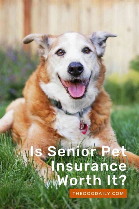 seniors pet insurance claim online.